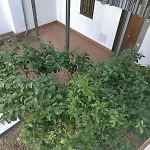 La Buhardilla De Loli Апартаменты Кордова