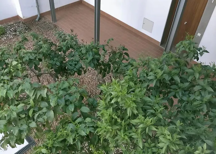 La Buhardilla De Loli Appartement Córdoba